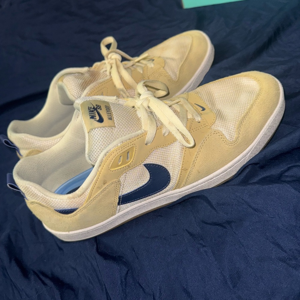 Nike SB Beige and Blue Shoes